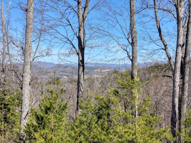 2081 Gallatin Road Young Harris, GA 30582 - Photo 28 of 44 a view of a yard with a tree