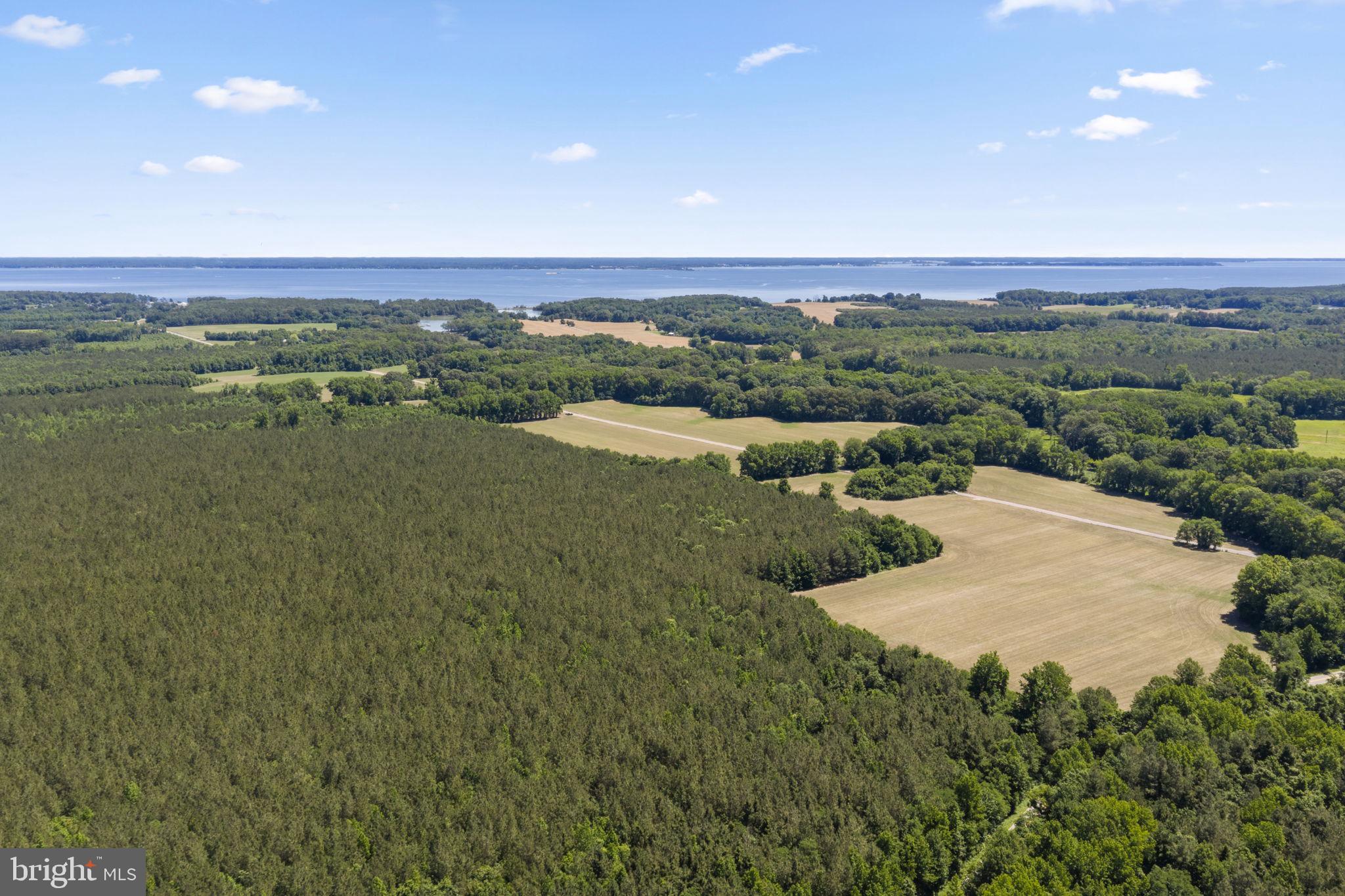 1 Wilton Road Hague, VA 22469 - Photo 5 of 13 an aerial view of residential houses with outdoor space and trees