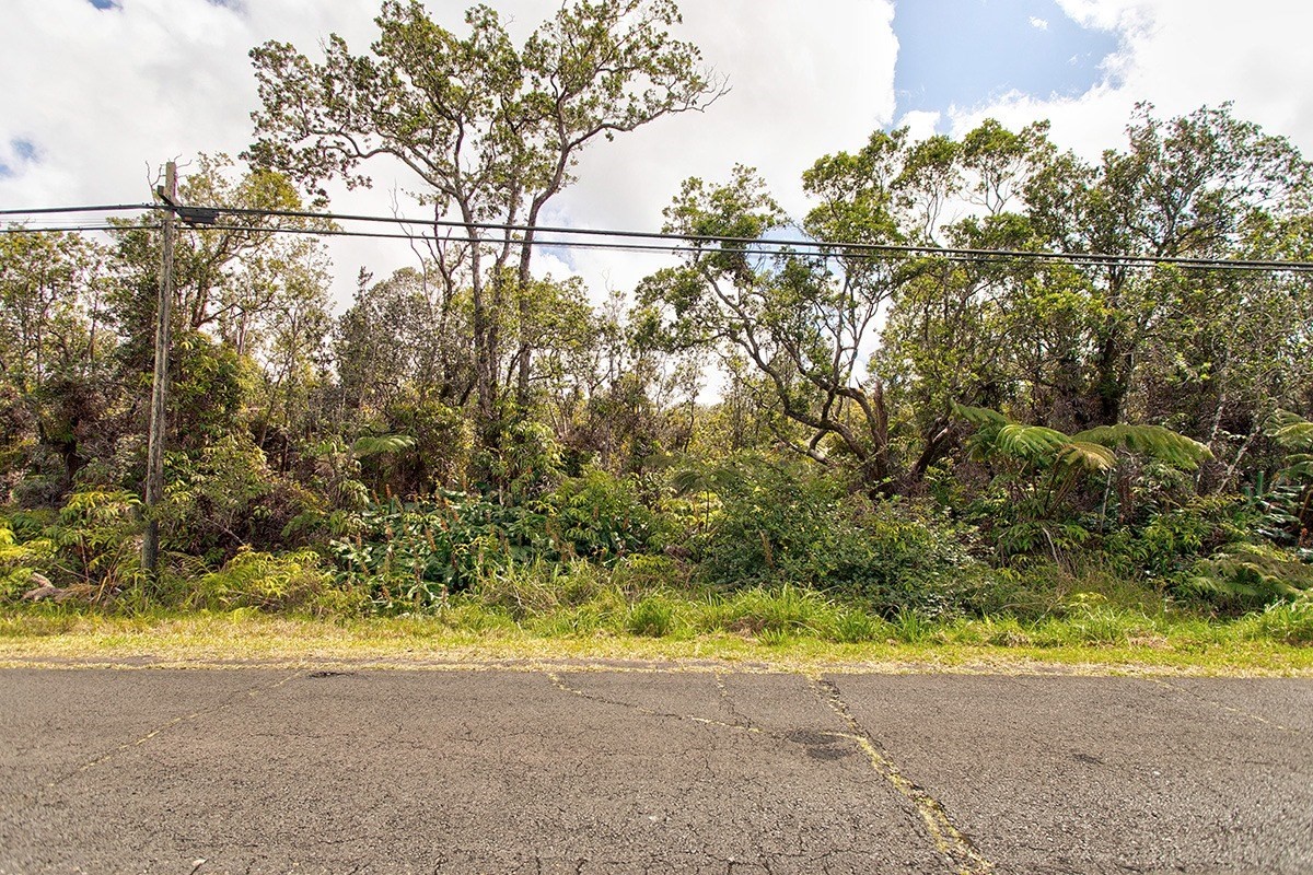 53 B Old Volcano Road Volcano, HI 96785 - Photo 2 of 11 Gallery Image 2