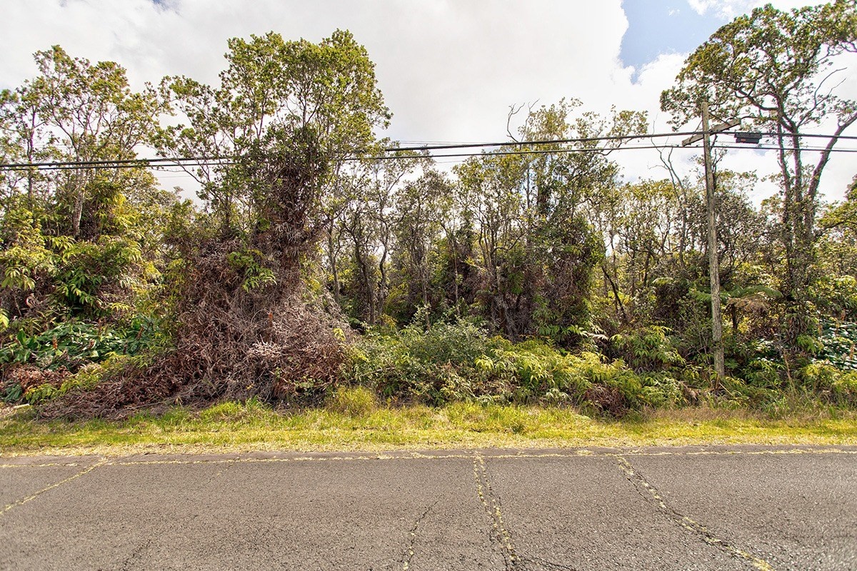 53 B Old Volcano Road Volcano, HI 96785 - Photo 4 of 11 Gallery Image 4