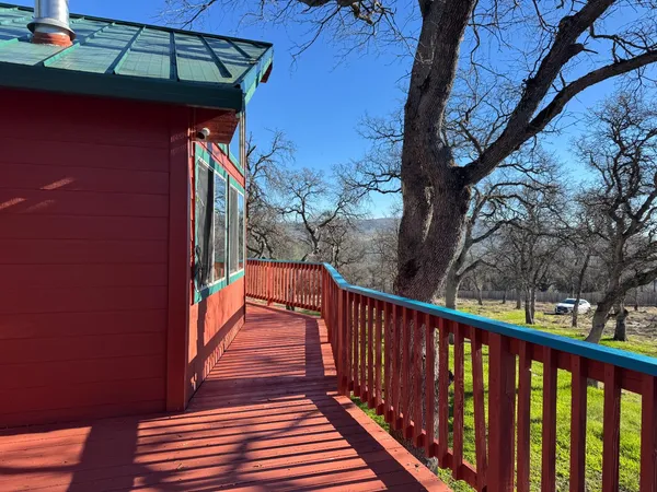 a view of a forest filled with trees