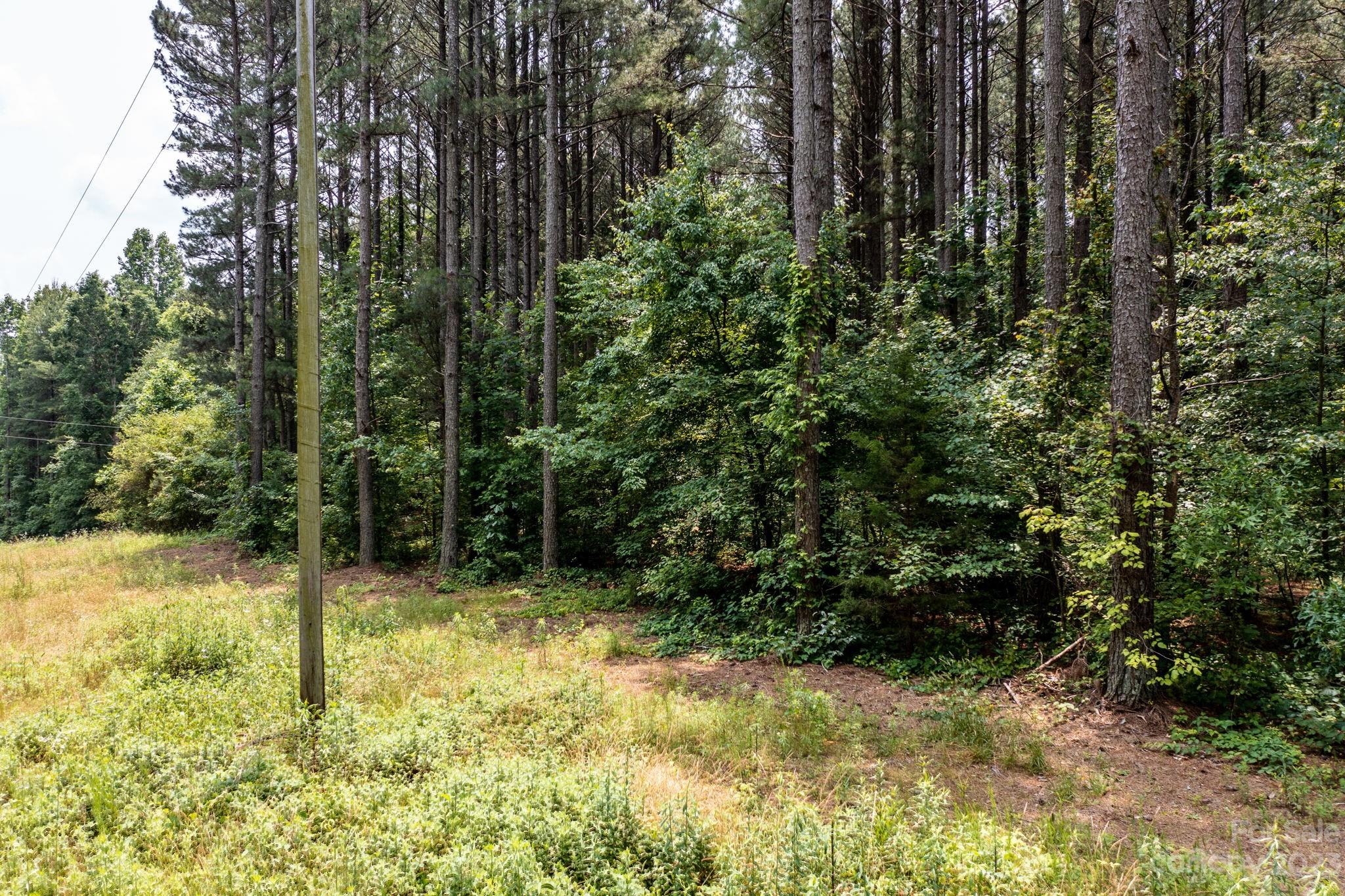 0 Bert Yarbro Road Vale, NC 28168 - Photo 7 of 13 Gallery Image 7