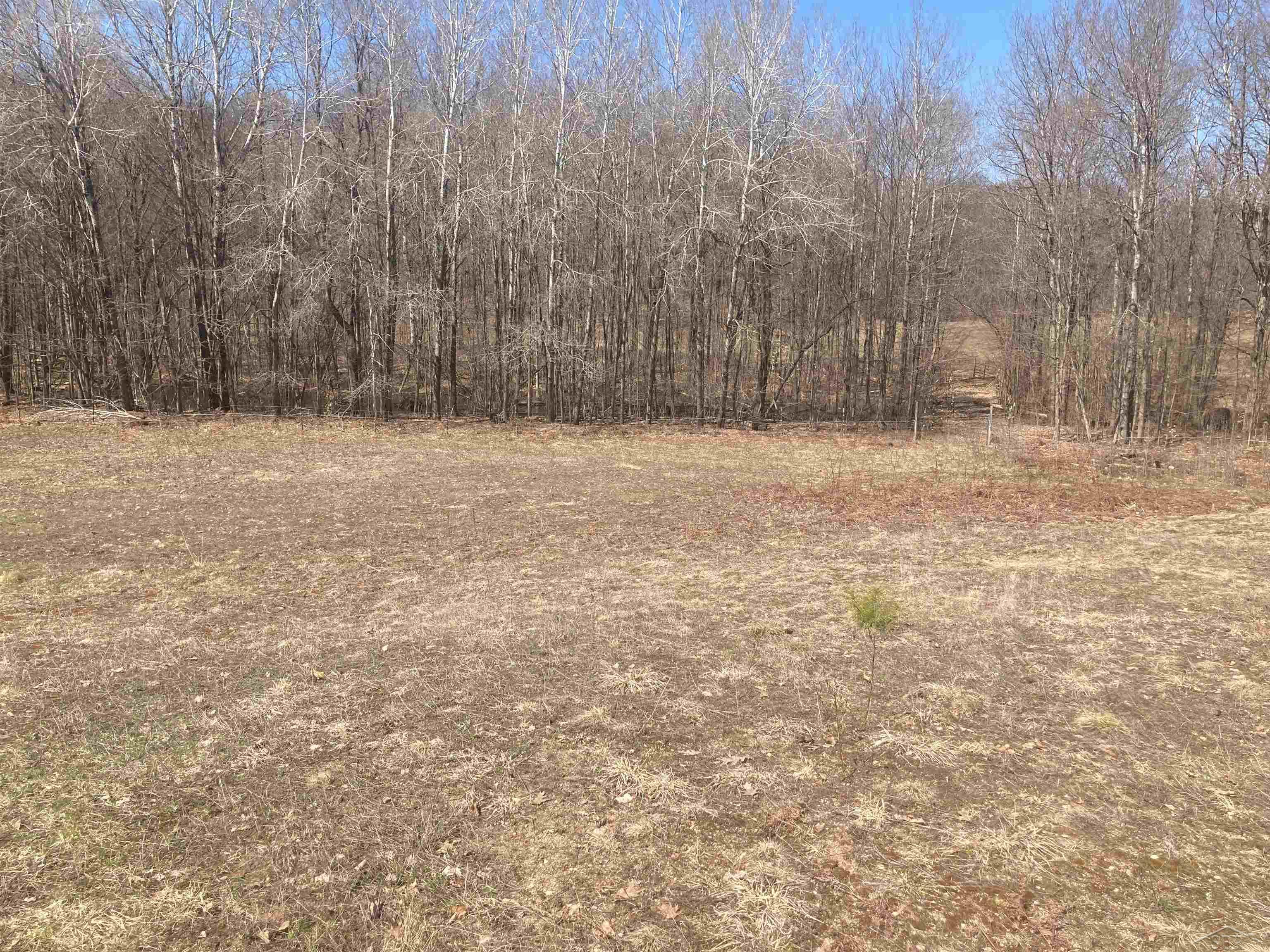 8353 West 12 Mile Road Bitely, MI 49309 - Photo 19 of 33