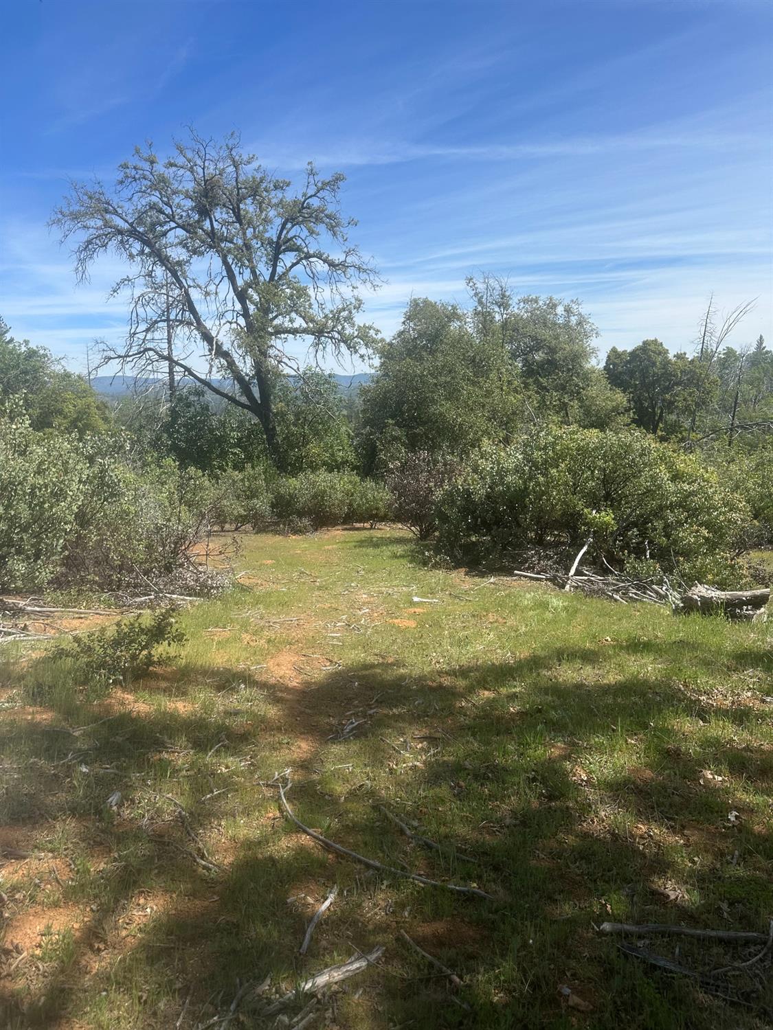 7256 Nikki Mountain Ranch Mountain Ranch, CA 95246 - Photo 2 of 3