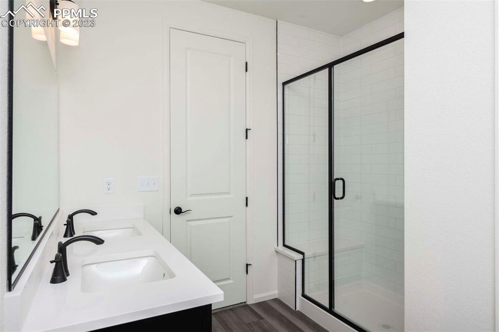 2120 Peachleaf Loop Castle Rock, CO 80108 - Photo 19 of 28 a bathroom with a sink a glass door shower and a mirror