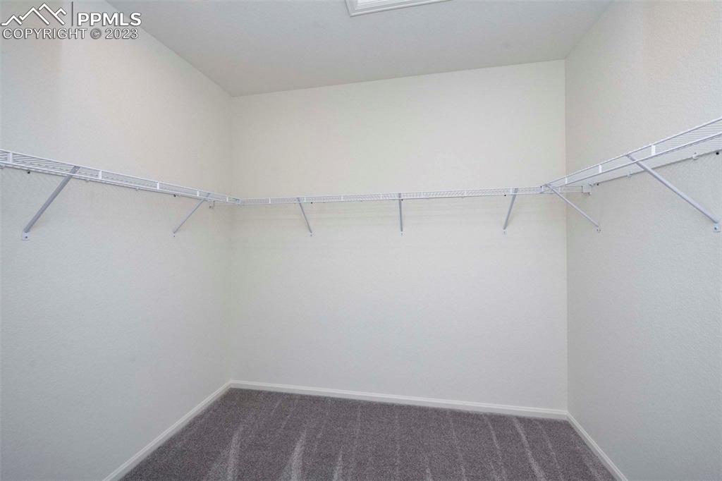 2120 Peachleaf Loop Castle Rock, CO 80108 - Photo 20 of 28 a view of a room with racks on the wall