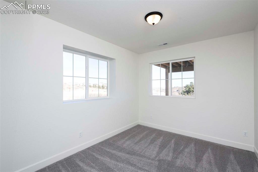 2120 Peachleaf Loop Castle Rock, CO 80108 - Photo 26 of 28 an empty room with a window