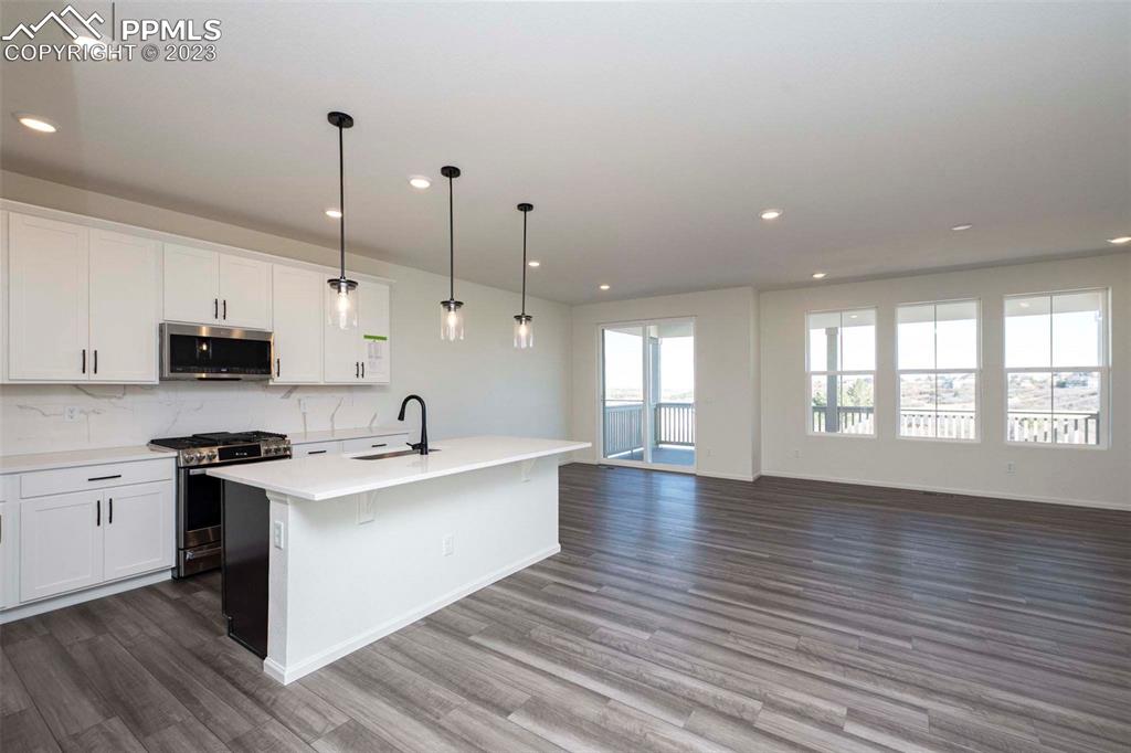 2120 Peachleaf Loop Castle Rock, CO 80108 - Photo 9 of 28 a large kitchen with stainless steel appliances granite countertop a sink a stove and a wooden floors