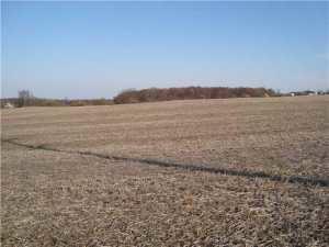 0 Bell Station Road, Unit LOT 4 Circleville, OH 43113 - Photo 1 of 2 Gallery Image 1