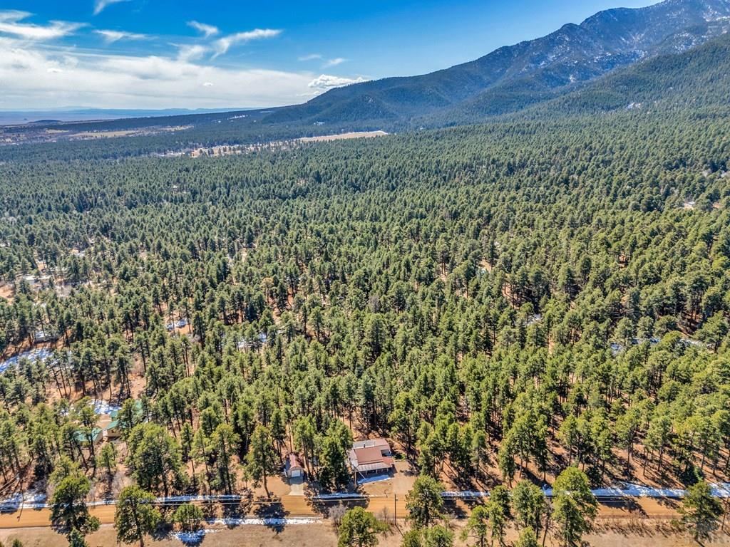 8326 Cuerna Verde Road Rye, CO 81069 - Photo 54 of 65