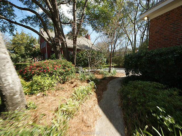 930 Compass Point Charleston, SC 29412 - Photo 39 of 41 Path leading to backyard