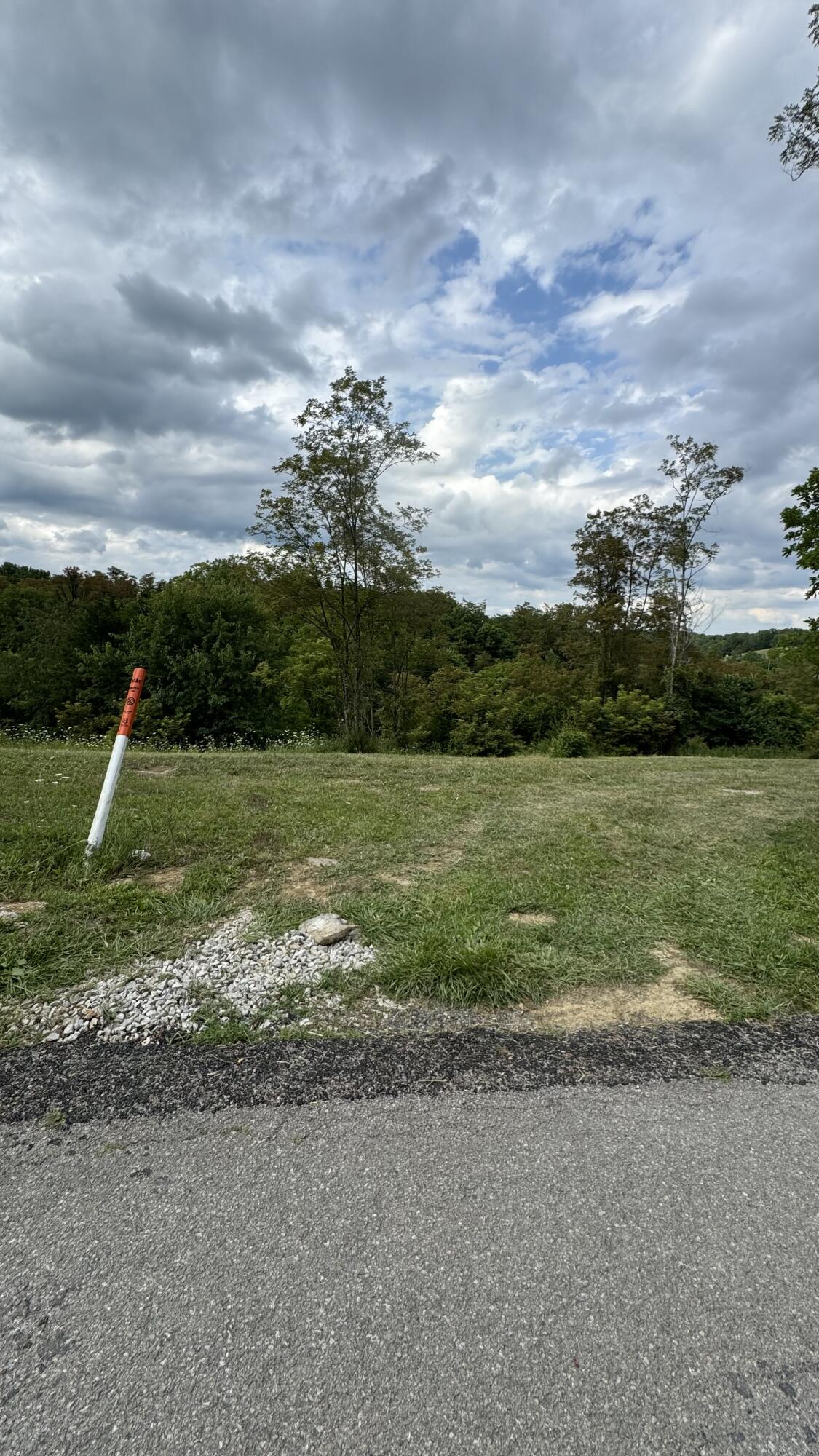 0 Morris Road Sadieville, KY 40370 - Photo 5 of 16 Land3