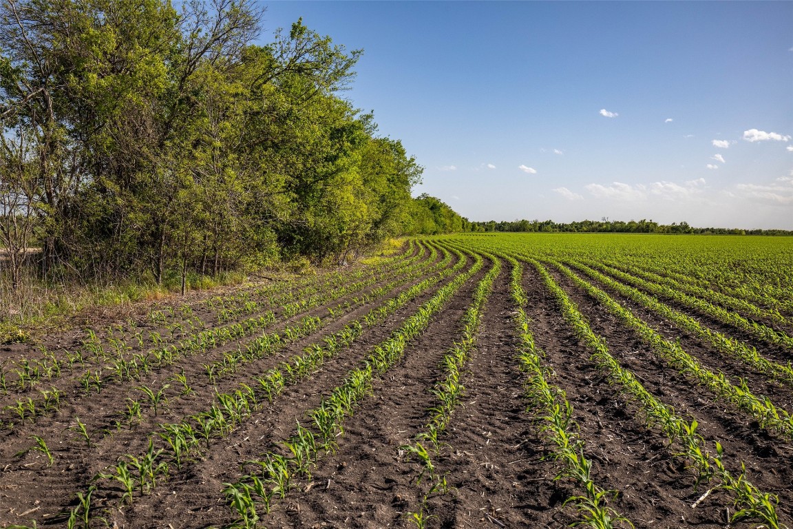 95 St Taylor Tx 76574 Taylor, TX 76574 - Photo 8 of 13 a view of an outdoor space and a lake view