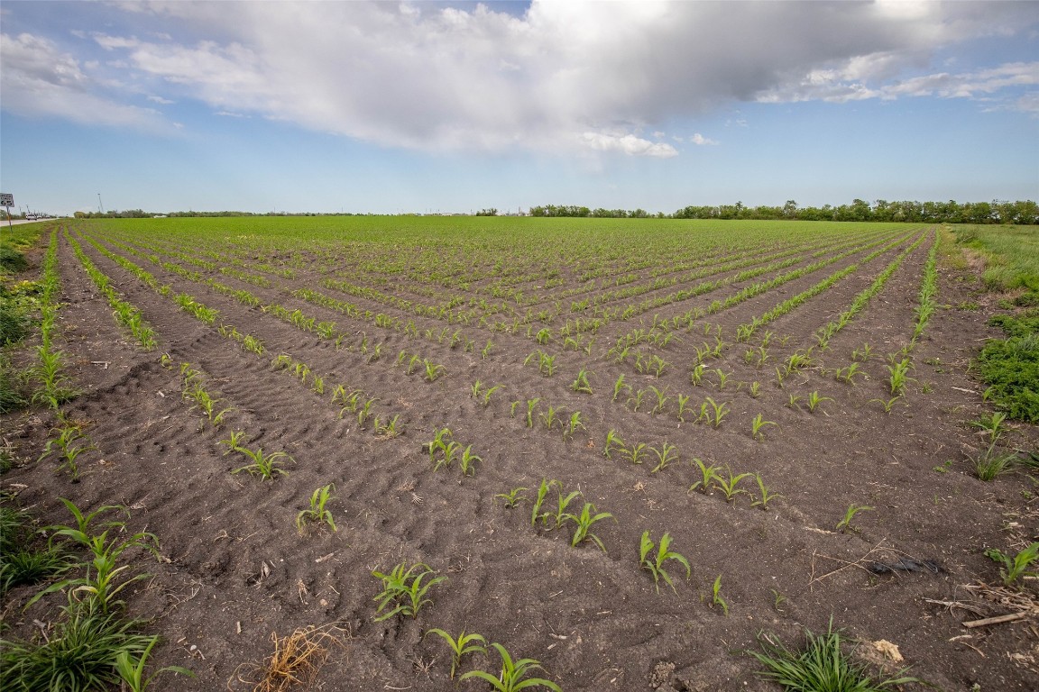 95 St Taylor Tx 76574 Taylor, TX 76574 - Photo 10 of 13 a view of an ocean beach and beach