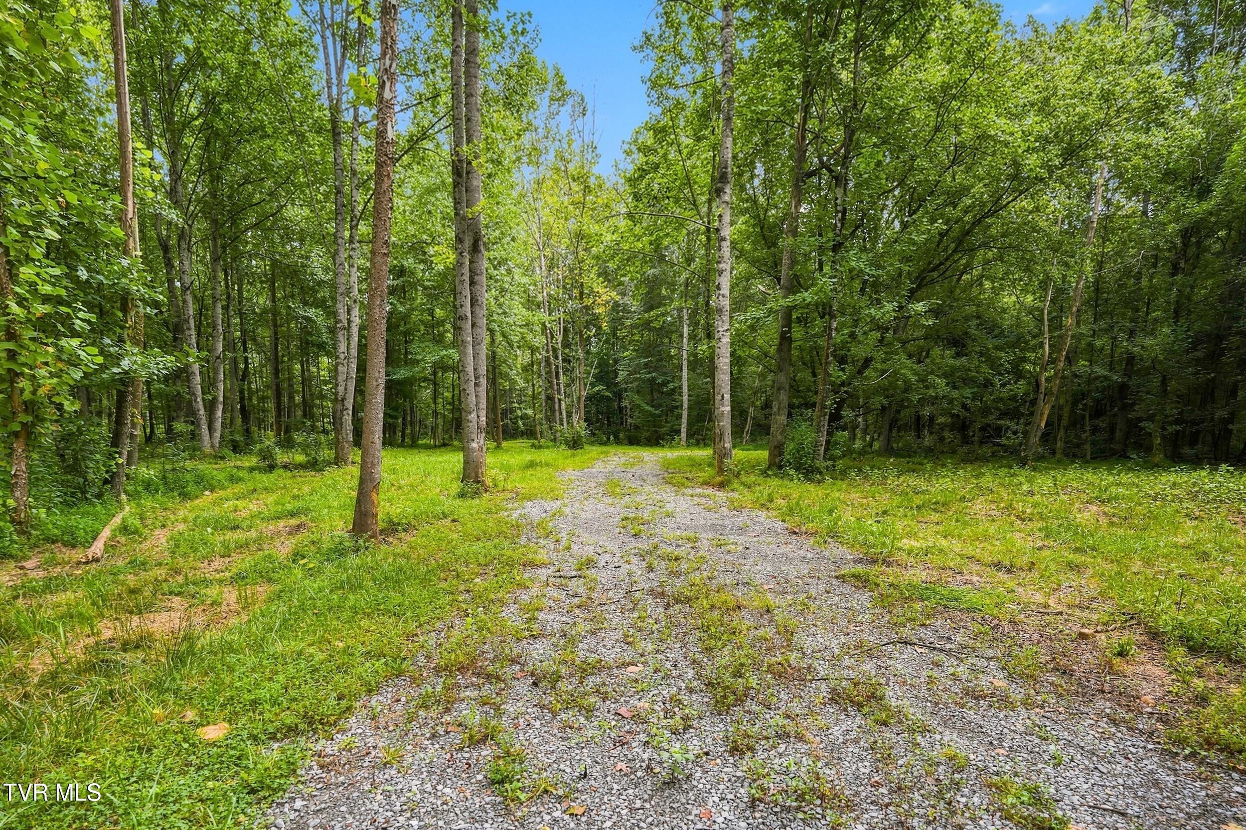 Tbd Tbd Mcinturff Springs Road Erwin, TN 37650 - Photo 8 of 22 3_dsc07898