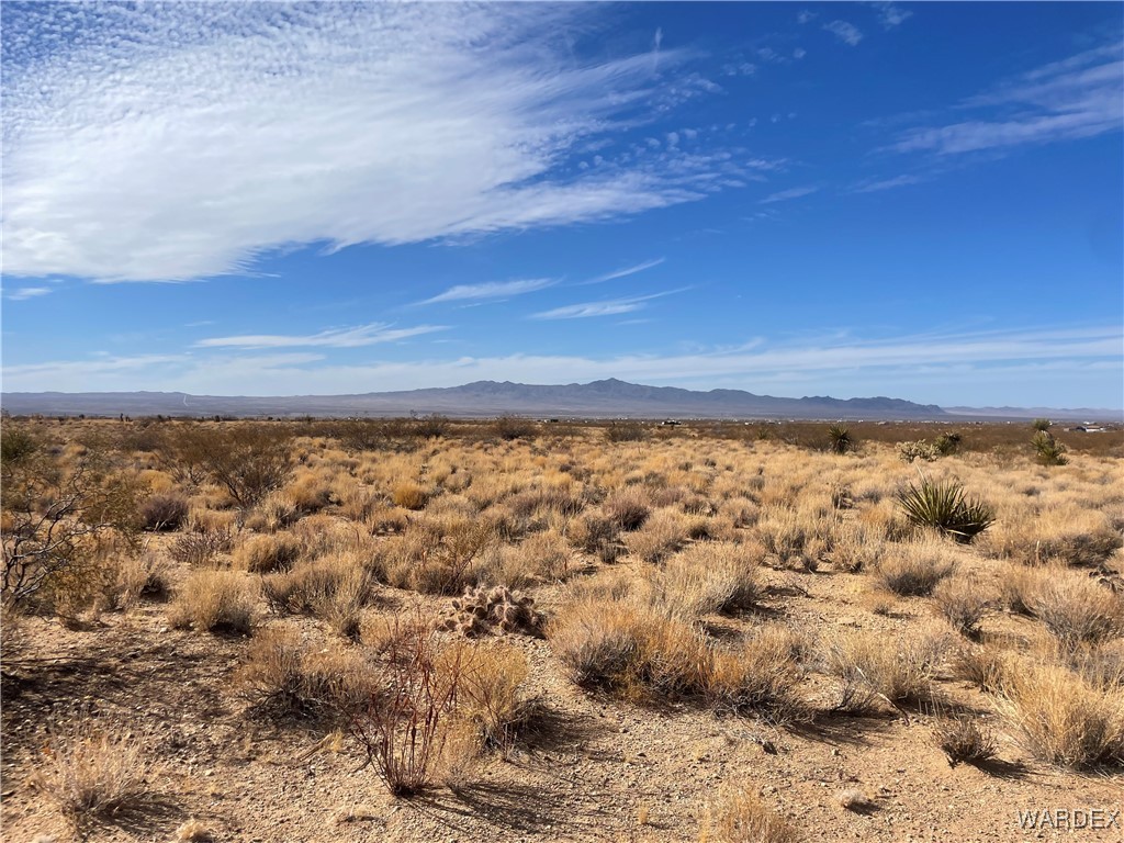 326-09-217 Havasu Road Dolan Springs, AZ 86441 - Photo 6 of 10