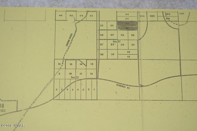Por Lot 31 Por Ranch Concho, AZ 85924 - Photo 11 of 11