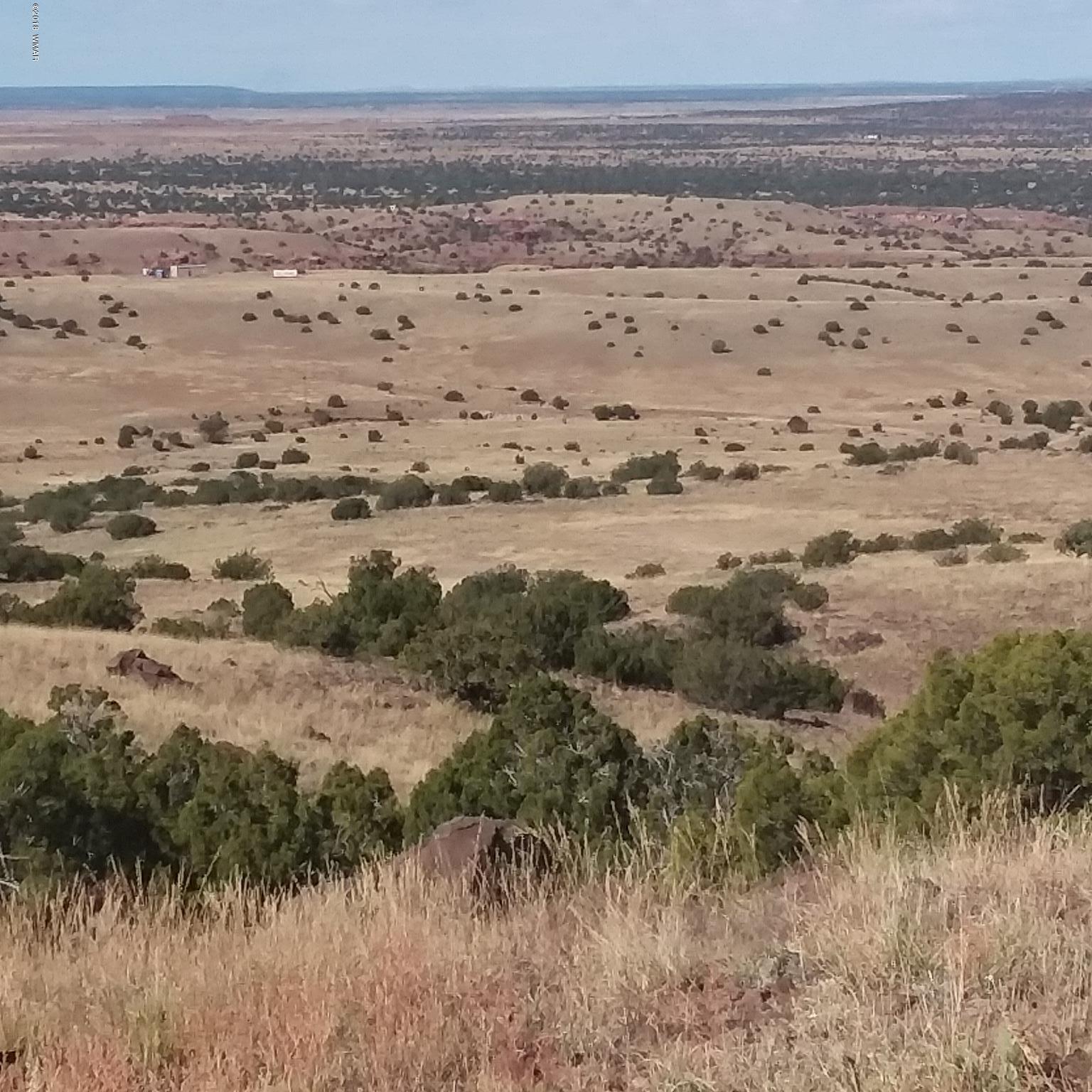 Por Lot 31 Por Ranch Concho, AZ 85924 - Photo 2 of 11