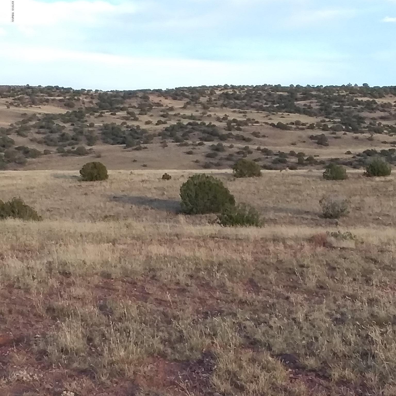 Por Lot 31 Por Ranch Concho, AZ 85924 - Photo 4 of 11