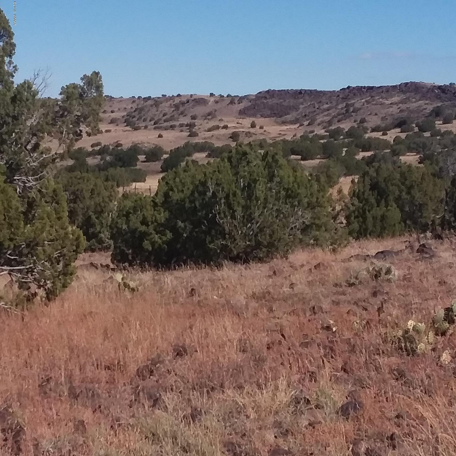 Por Lot 31 Por Ranch Concho, AZ 85924 - Photo 5 of 11
