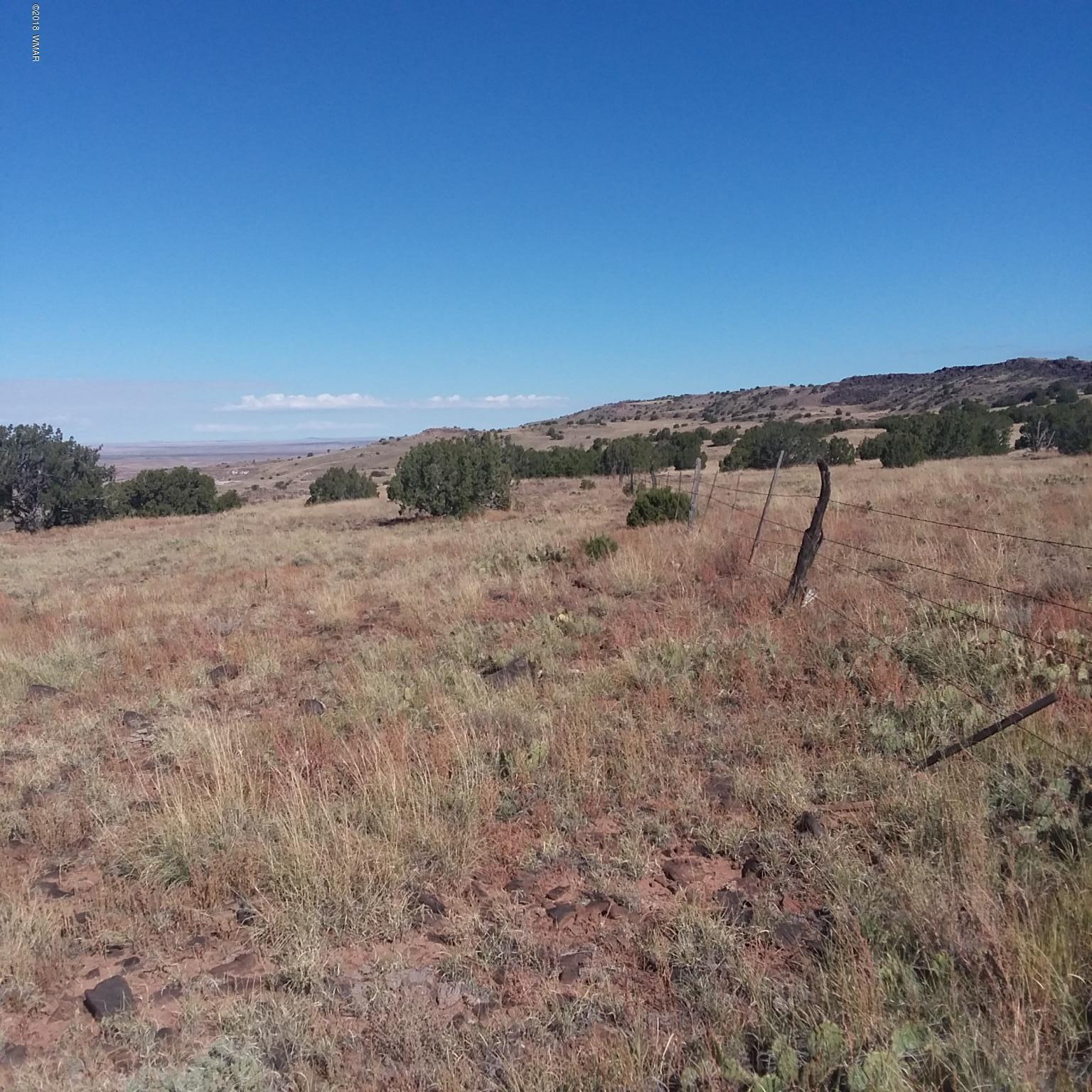 Por Lot 31 Por Ranch Concho, AZ 85924 - Photo 6 of 11