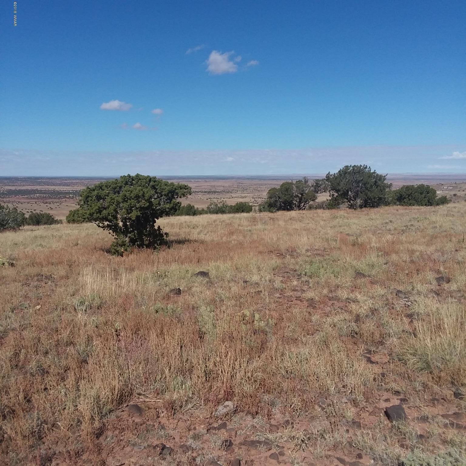 Por Lot 31 Por Ranch Concho, AZ 85924 - Photo 7 of 11