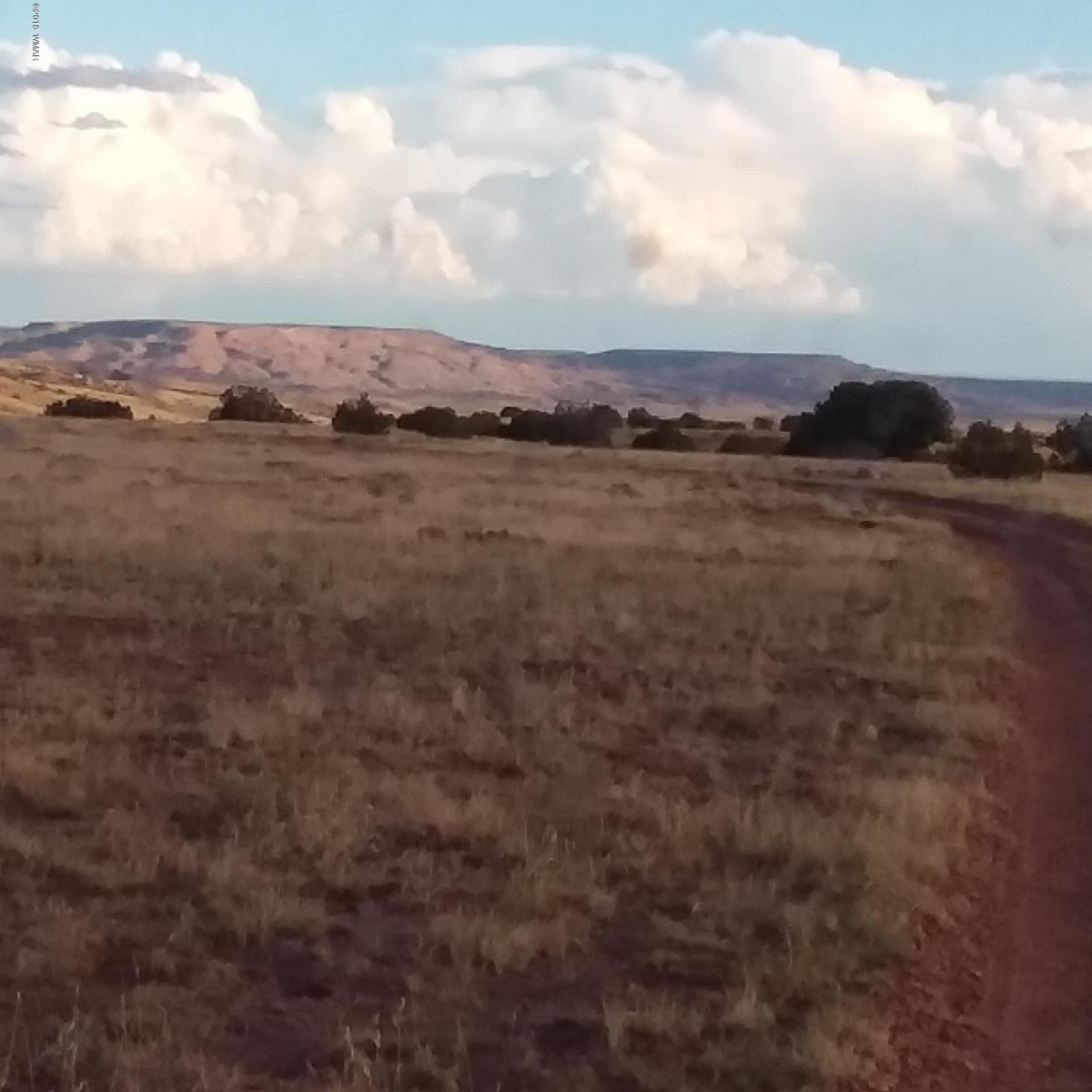 Por Lot 31 Por Ranch Concho, AZ 85924 - Photo 8 of 11