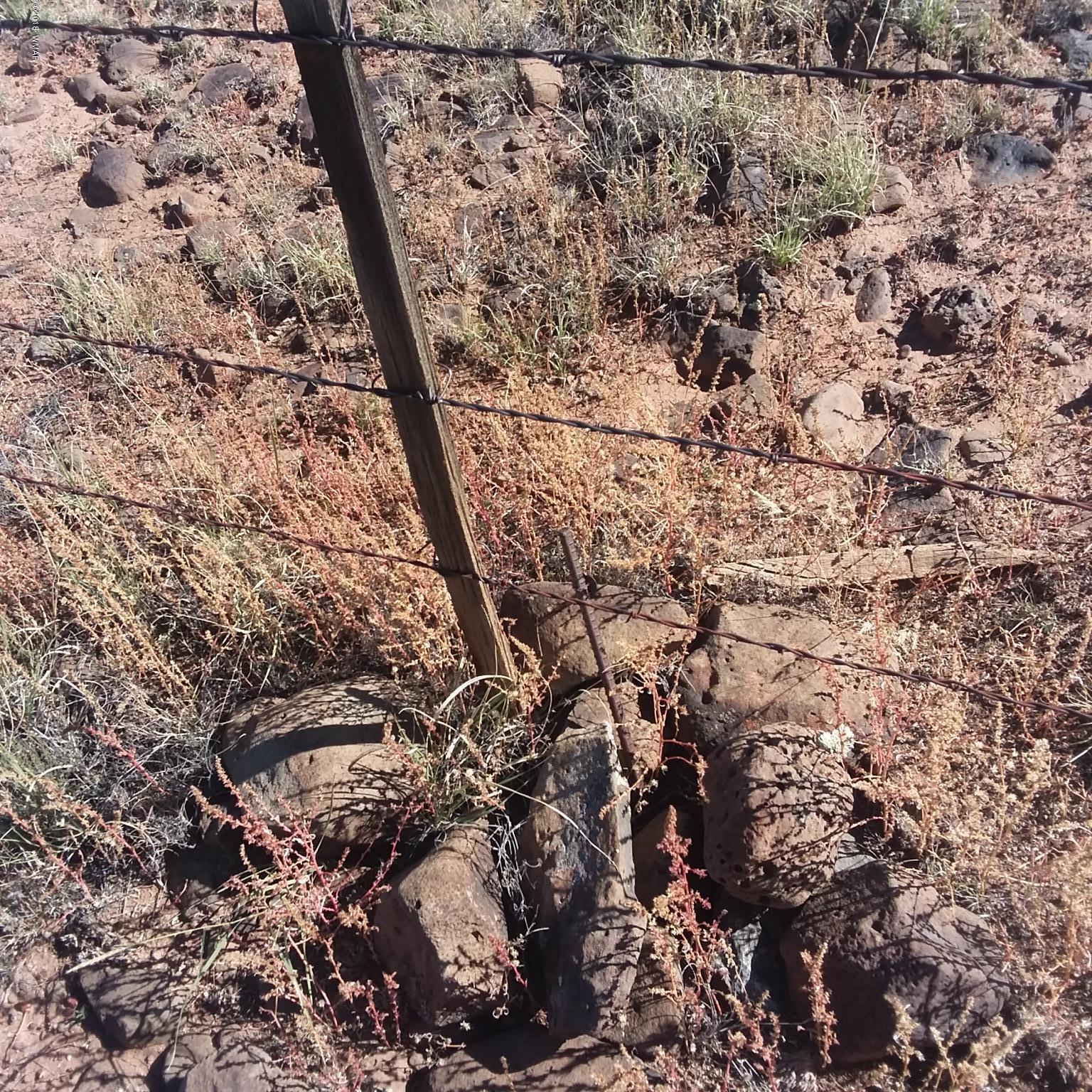 Por Lot 31 Por Ranch Concho, AZ 85924 - Photo 9 of 11