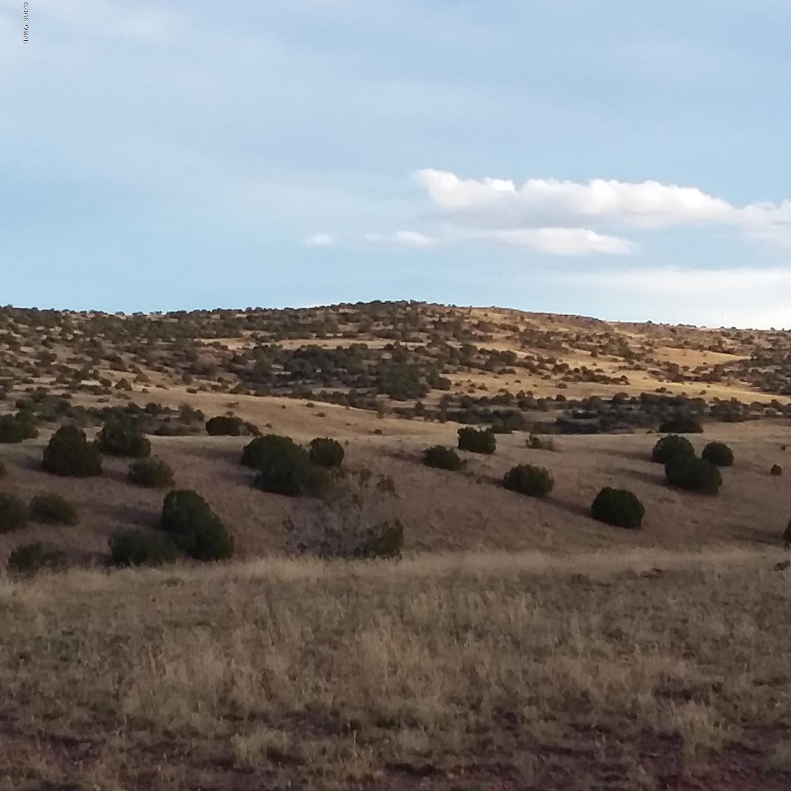 Por Lot 31 Por Ranch Concho, AZ 85924 - Photo 10 of 11