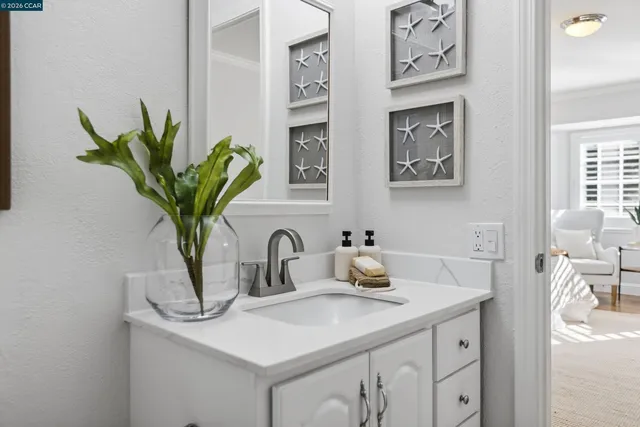 a bathroom with a sink a mirror and a potted plant