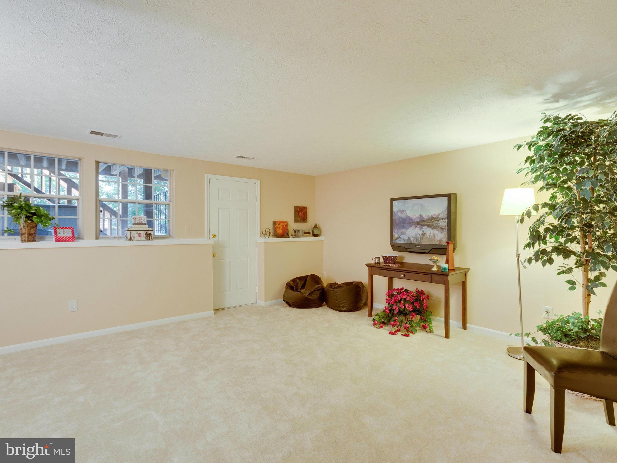 13963 Winding Ridge Lane Centreville, VA 20121 - Photo 22 of 30 Basement