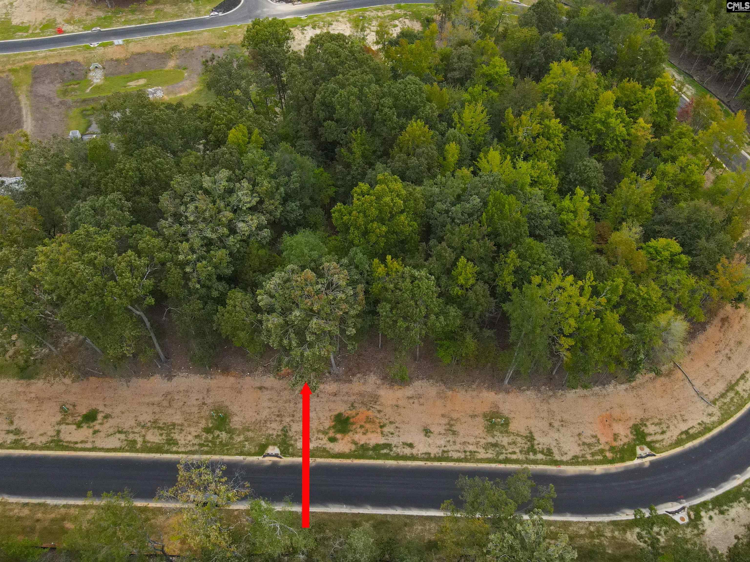 1068 Refuge Place Chapin, SC 29036 - Photo 3 of 17