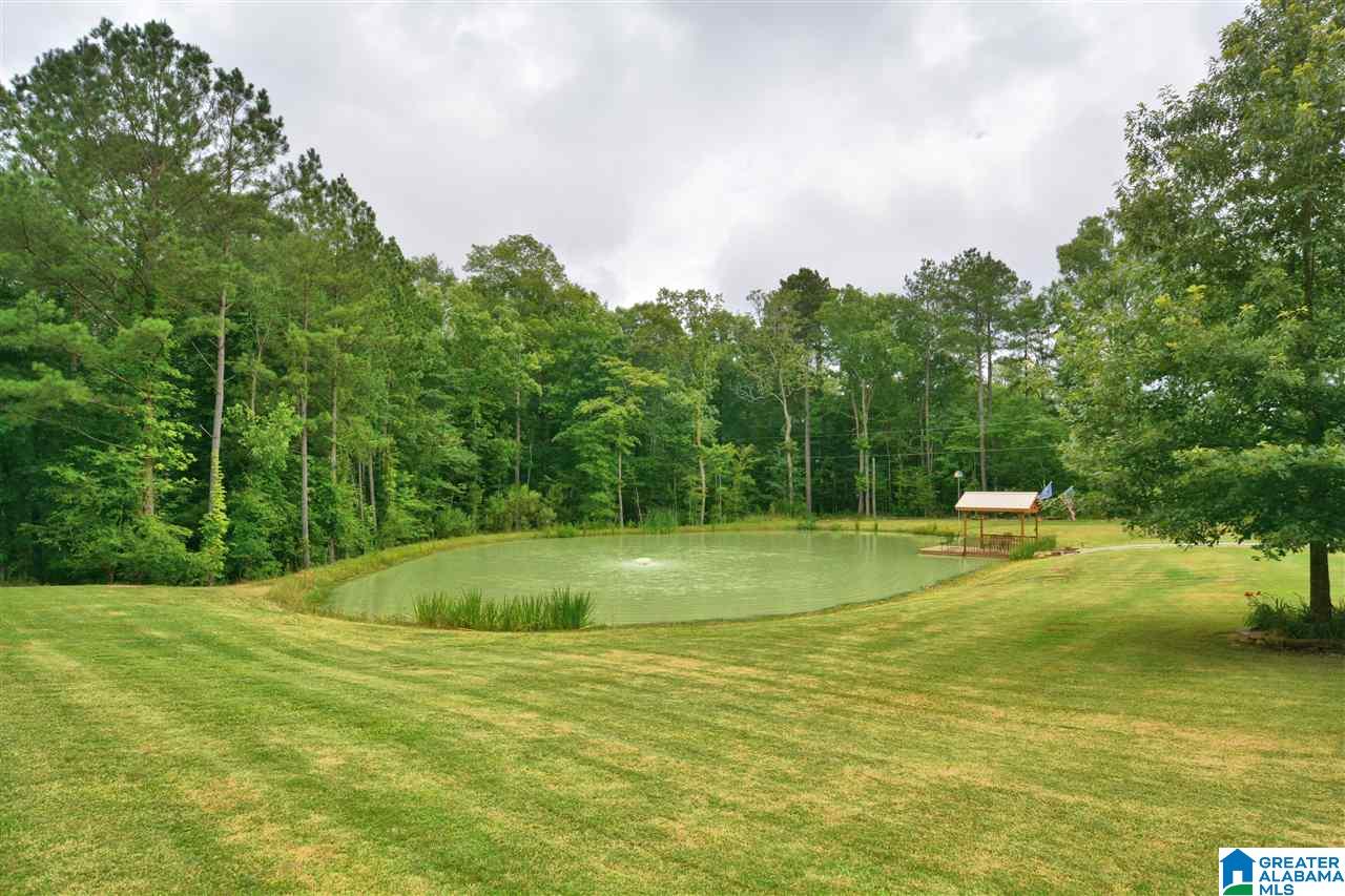40 Baron Drive Chelsea, AL 35043 - Photo 4 of 45