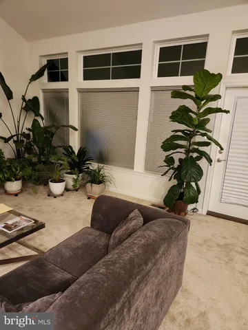 a living room with furniture flowerpot and wooden floor