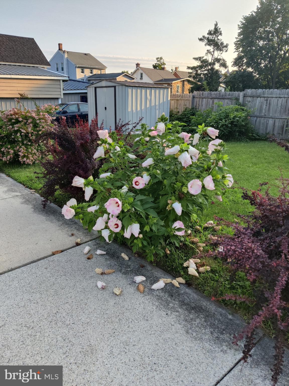 431 Broad Street Spring City, PA 19475 - Photo 41 of 42 a backyard of a house with lots of green space