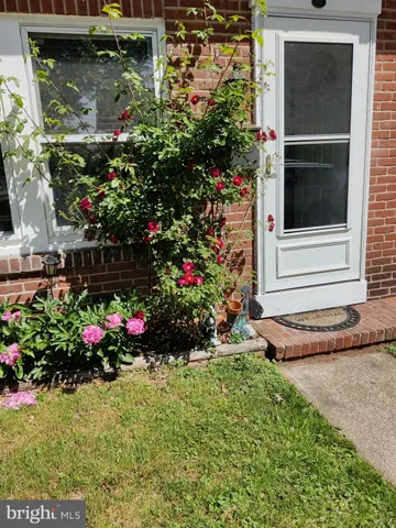 a view of a potted plant in front of a house