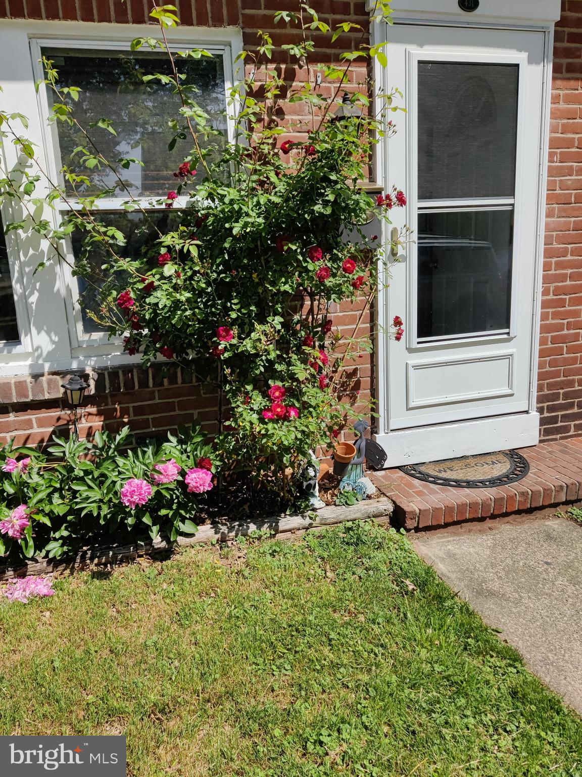 431 Broad Street Spring City, PA 19475 - Photo 5 of 42 a view of a potted plant in front of a house