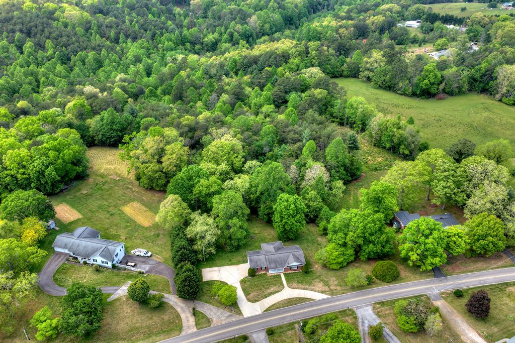 380 La Vista Drive Blue Ridge, GA 30513 - Photo 42 of 48