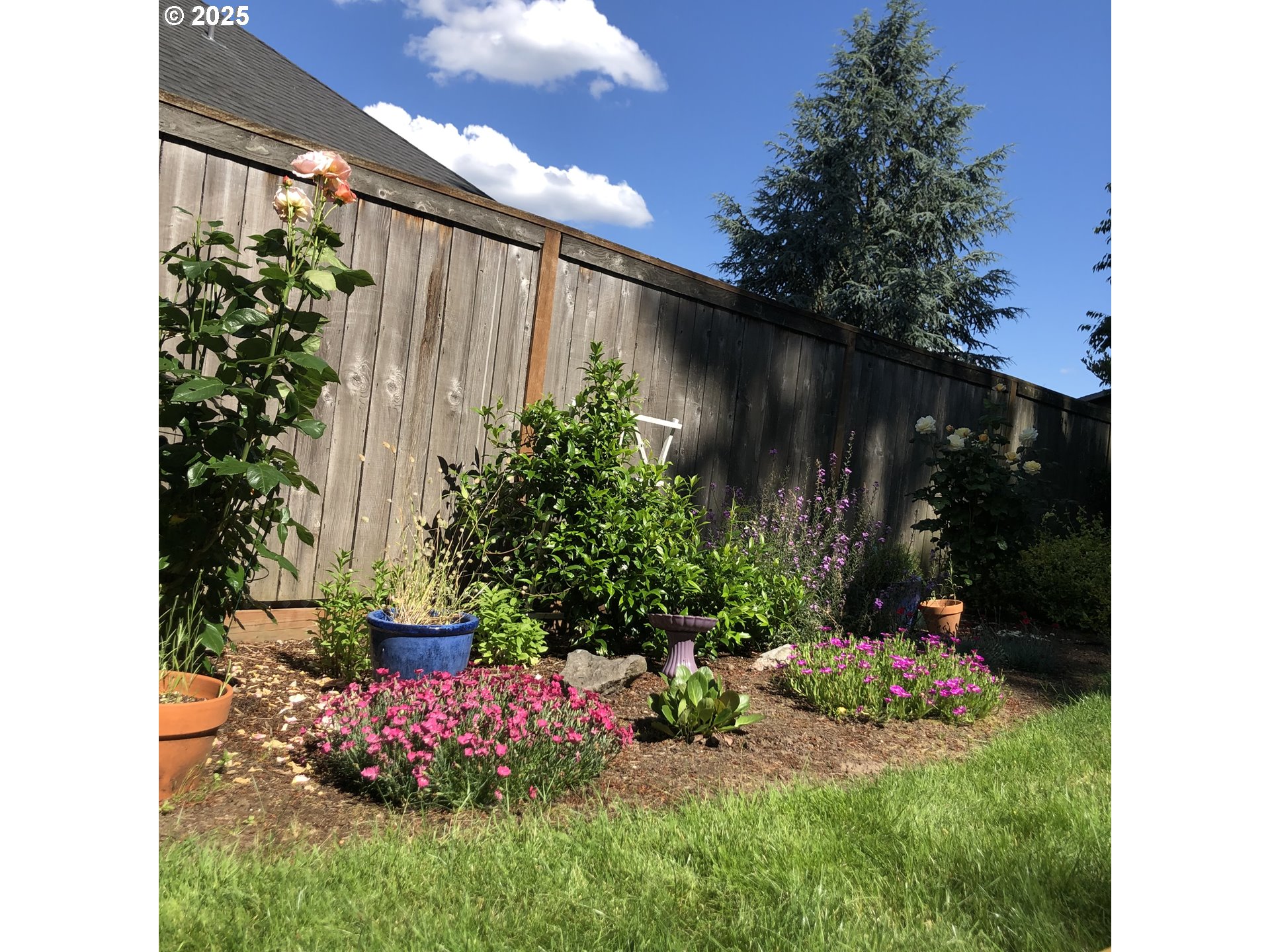 20259 Southwest Celebrity Street Beaverton, OR 97078 - Photo 33 of 40 a view of a backyard with plants