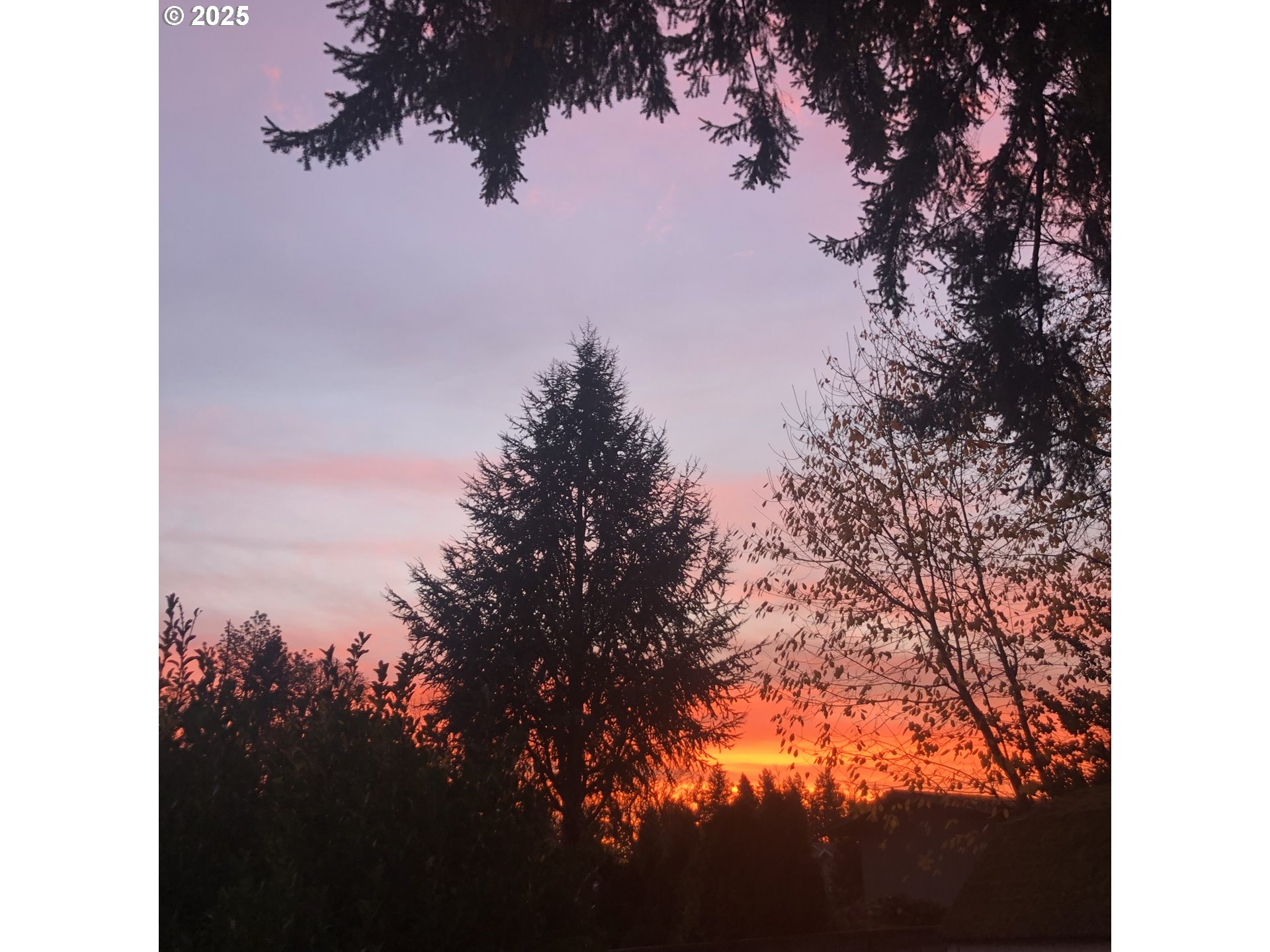 20259 Southwest Celebrity Street Beaverton, OR 97078 - Photo 39 of 40 a view of sunset