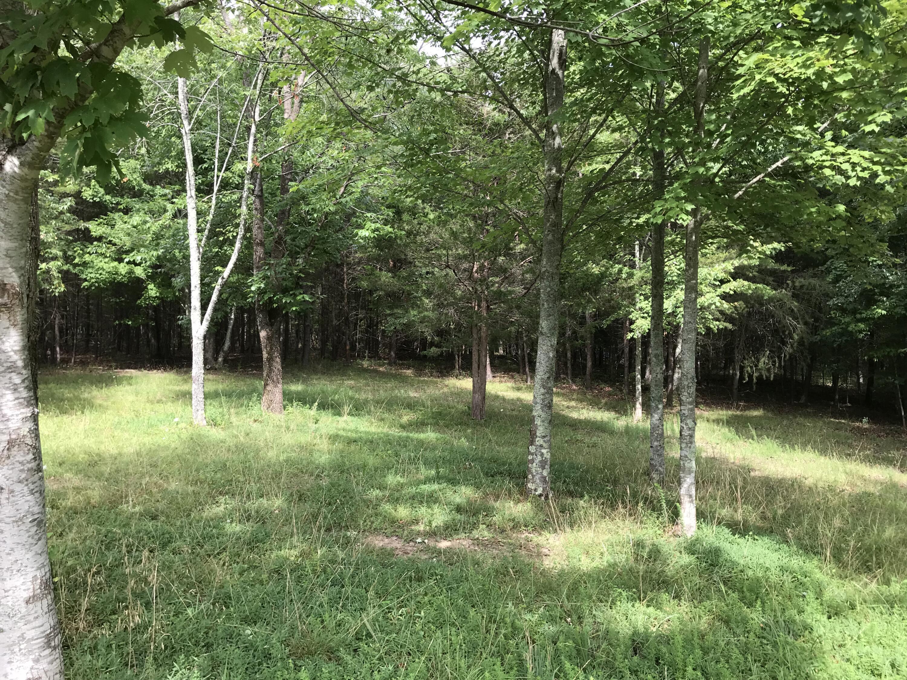 0 Quail Trail, Unit 38 Dunlap, TN 37327 - Photo 31 of 36 IMG_8513