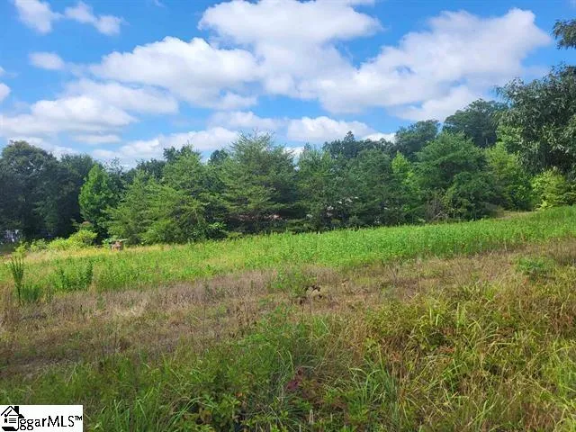 $1,200,000 | 1212 Pleasant Hill Road, Landrum, SC 29356