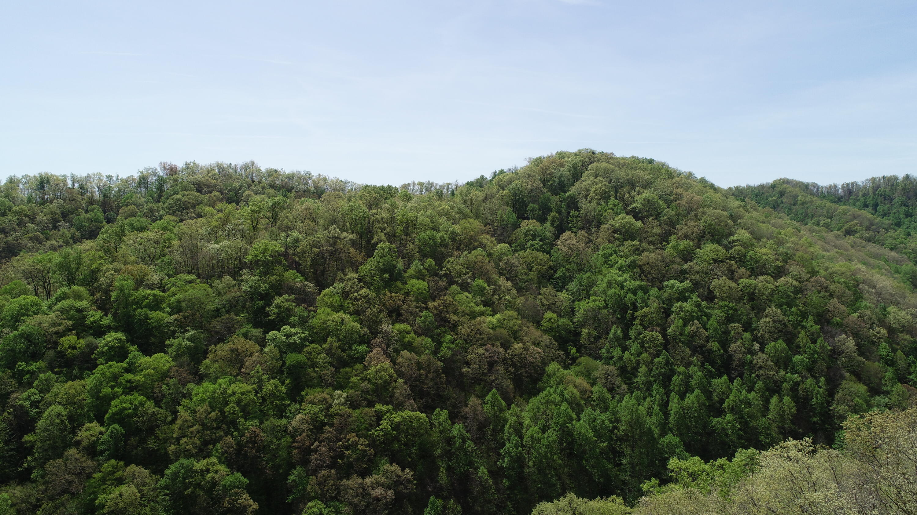 290 Rock House Branch Road Manchester, KY 40962 - Photo 16 of 24 DJI_0616