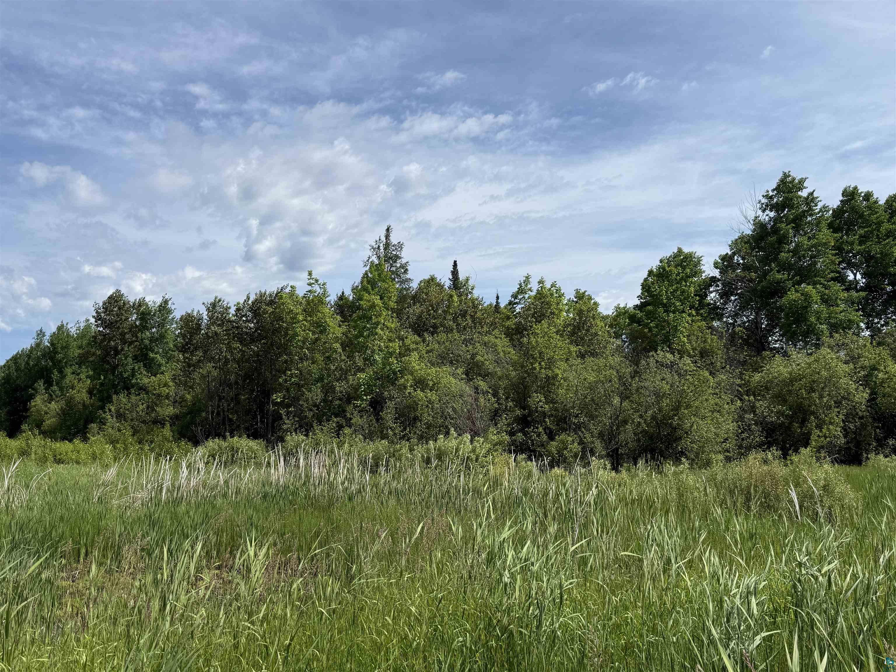 Parcel C Parcel C Parameter Road Deer River, MN 56636 - Photo 7 of 22
