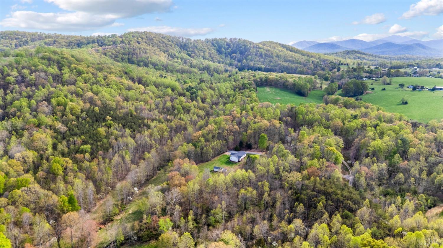 239 Little Farm Road Amherst, VA 24521 - Photo 44 of 59 a view of a lush green forest with trees in the background