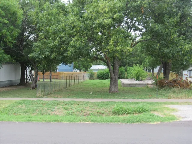 a view of a garden with a tree