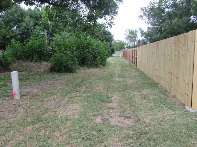 a view of a field with a tree