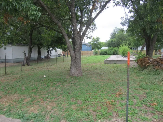 a view of a garden with a tree