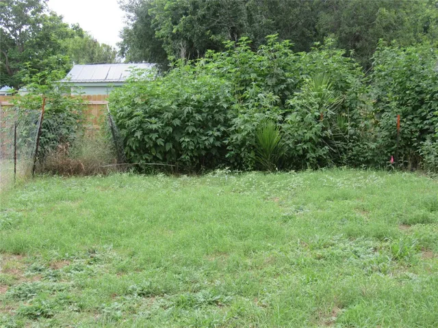 a view of a bunch of trees and bushes