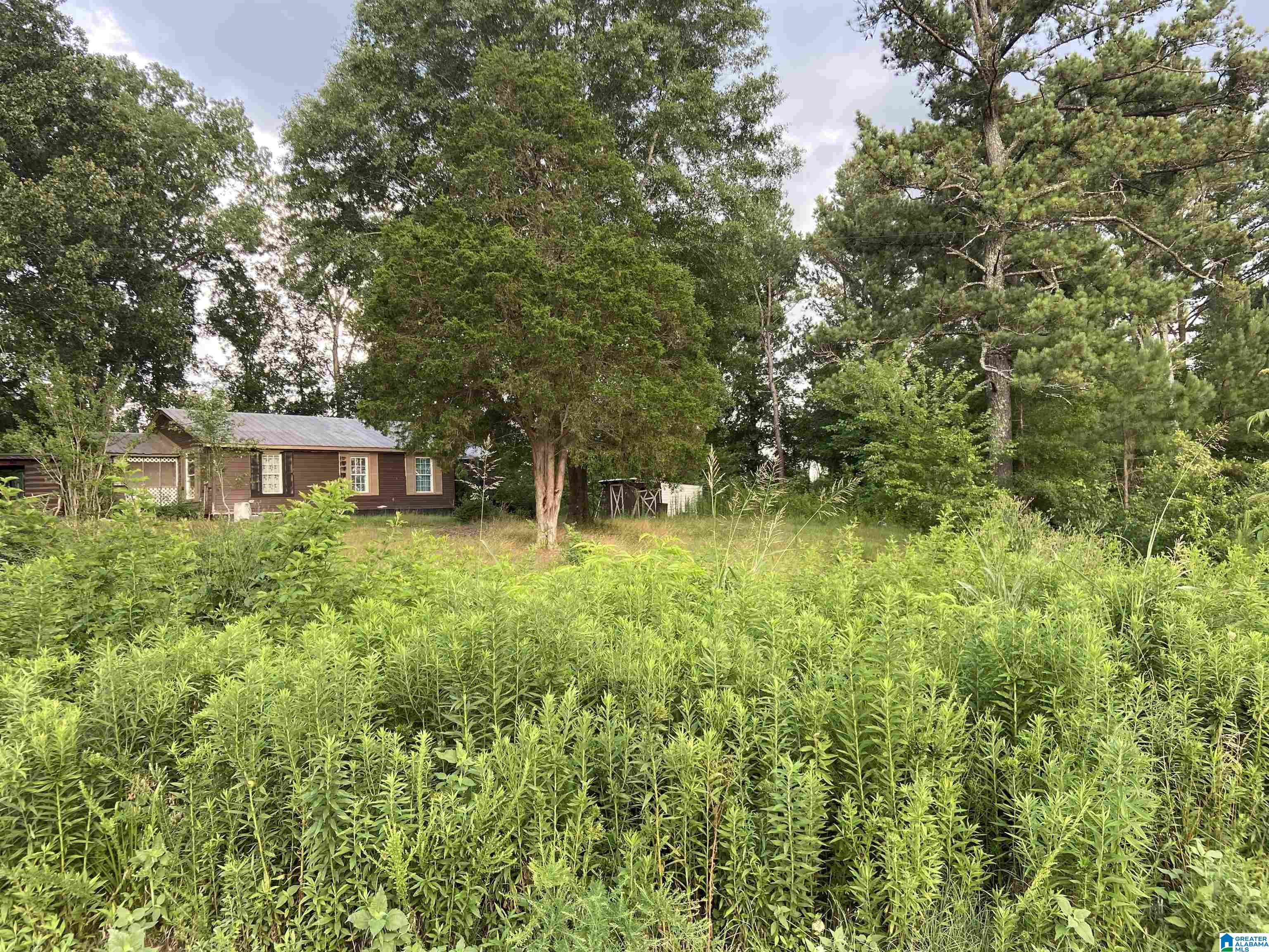 668 Dorning Road Trafford, AL 35172 - Photo 1 of 1